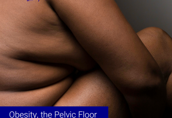 Obesity, the Pelvic Floor  and Surgery Risk